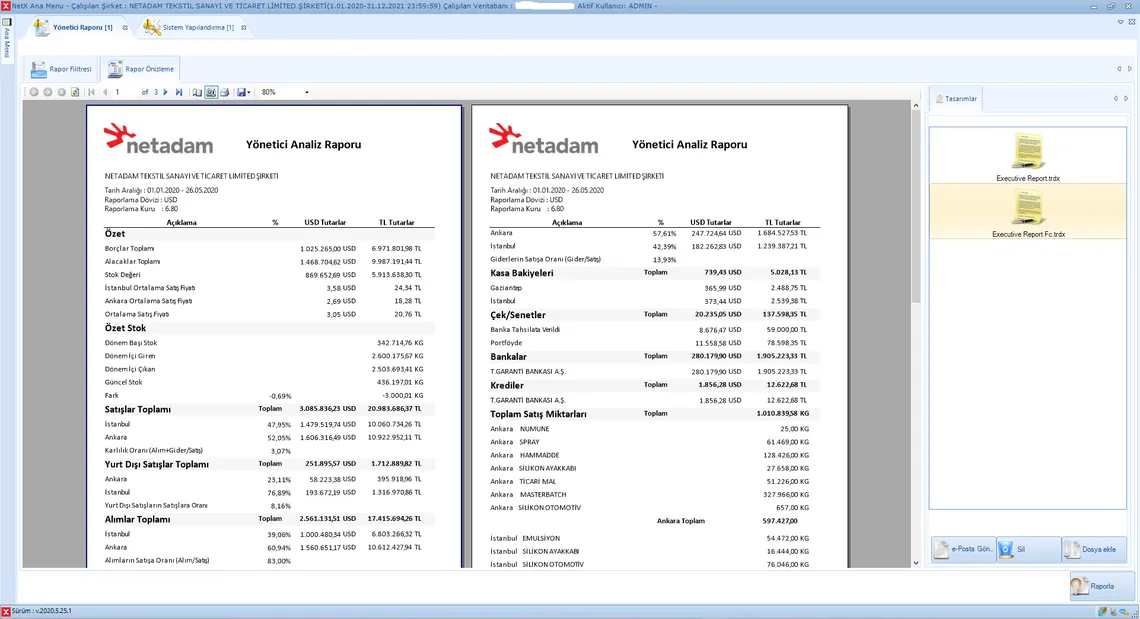 Yönetici Analiz Raporu
